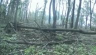 На Курському напрямку українські бійці знищили ворожу групу, яка намагалася штурмувати Сумщину