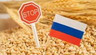 Кремль ручним керуванням намагається стимулювати недостатній експорт зерна - розвідка