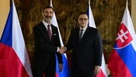 Мир не може бути досягнутий за рахунок поступок щодо безпеки Європи - Ліпавський