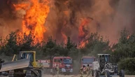 У Туреччині через лісові пожежі евакуюють села та закрили шосе
