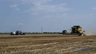 На Вінниччині намолотили понад 2 мільйони тонн ранніх зернових