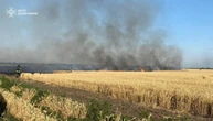 Через обстріли на Донеччині цьогоріч згоріли 178 гектарів пшениці