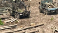Пів сотні обшуків та понад 20 підозр: в Україні викрили масштабну схему розкрадань деревини
