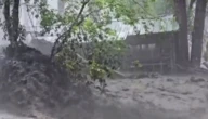 Повінь у американському штаті Нью-Мексико забрала життя двох дітей і дорослого