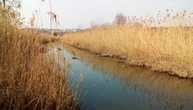 У Маріуполі ворог побудував перекриття через річку Кальчик, частину її засипали землею