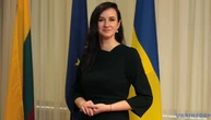 Північно-Балтійська вісімка має залучати інші держави до підтримки України - прем’єрка Литви