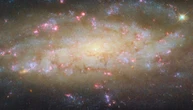 Hubble сфотографував активну спіральну галактику в сузір'ї Журавля