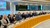 Українська делегація у рамках скринінгу провела для Єврокомісії шість презентацій