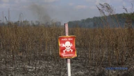 На деокупованій Херсонщині вже розмінували 88% сільськогосподарських угідь