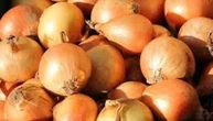 В Україні дорожчає цибуля - EastFruit