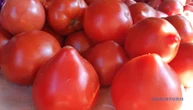 В Україні стрімко дорожчають тепличні помідори - EastFruit