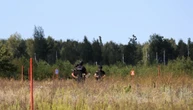 На Київщині вже розмінували 7,5 тисяч гектарів сільськогосподарських земель - ОВА