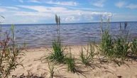 У Росії за 6 кілометрів від Естонії впав безпілотник