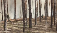 На Харківщині внаслідок російських артобстрілів виникли масштабні лісові пожежі