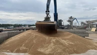 Україна у новому сезоні експортувала майже 800 тисяч тонн зернових