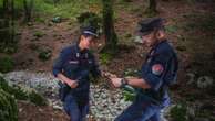 Orrore nel Parco d’Abruzzo Mamma orsa uccisa a fucilate 