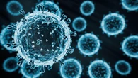 Farmaci antivirali, “vi spiego cosa succede in laboratorio”