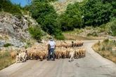 Grecia, lo scandalo sui sussidi agricoli europei getta il panico tra i piccoli coltivatori diretti