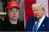 Trump e Musk, fine del sodalizio? Il magnate di Tesla critica il tycoon: ecco perché