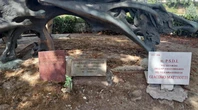 Roma, danneggiata la lapide davanti al monumento dedicato a Matteotti