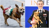 Briciola, la mascotte dei carabinieri va in pensione. “E’ piccola, ma molto tosta”