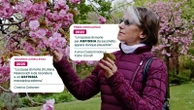 Caso Resinovich, Fineschi: “Sulla frattura alla vertebra T2 tutto lineare. Mai creduto al suicidio”