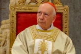 Conclave, il cardinale Coccopalmerio: "Fake news su Parolin. Provano a screditarlo"