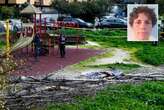 Morte di Francesca Ianni: c’è un indagato per la tragedia dell’albero caduto a Roma