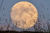 Luna del Cervo 2025, la notte si illumina. Ecco l’orario migliore per vederla il 10 luglio