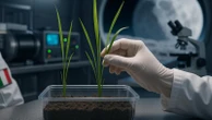 ASI presenta Moon-Rice: il progetto che porterà il risotto nello spazio