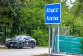 Alligator Alcatraz, il carcere nella palude: celle sovraffollate, poco cibo e niente medicinali. Fuori: alligatori e pitoni