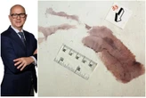Giallo di Garlasco, i segreti dell’impronta 33. Il genetista di Stasi: “Fare nuovi accertamenti”