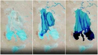 Il deserto si risveglia in Australia, l’incredibile rinascita del lago Eyre. Ed è subito boom turistico. Cosa è successo