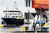 Hantavirus, è positivo un membro dell’equipaggio della nave Hondius. Oms: “Finora 12 casi e 3 decessi”