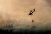 Incendi in Francia, il sud brucia: 3 mila persone evacuate. Campeggi e abitazioni in fiamme. “I turisti sono sconvolti”