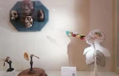 Palazzo Poggi, l’arte contemporanea dialoga con la collezione