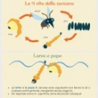 Davvero ci sono meno zanzare col caldo record? “Uova triplicate, ma oltre i 35 gradi soffrono. Preparatevi all’invasione della tigre”