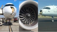 Spagna, collisione in volo con un uccello: atterraggio di emergenza per un aereo Iberia