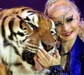 La tigre Sandokan getta nel panico Lipsia, un felino di 280 chili in fuga. La polizia le dà caccia e la uccide. Peta accusa l’addestratrice