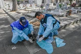 West Nile: un altro morto a Caserta, è l'ottavo in Italia. “Almeno 10mila infezioni, andamento imprevedibile”