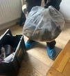 Trovano un ratto gigante in casa. “Lungo più di mezzo metro”. La foto è virale