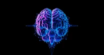Gli scienziati “coltivano” mini cervelli umani: così nascono i biocomputer fatti di cellule viventi