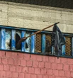 Il report di Antigone: 3 metri quadri di spazio e numero record di detenuti minori