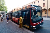 "Autobus gratuiti per i migranti". Bologna, la proposta della discordia