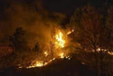 La Spagna brucia, devastante incendio in Andalusia: 12 morti e 23 dispersi. A fuoco i boschi vicino ad Almeria