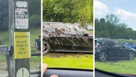 “Via dal mio campo”. Agricoltore furibondo cosparge liquame su decine di auto di lusso. Il video