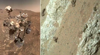 Nasa: “Su Marte tracce di vita microbica”. La scoperta del rover Perseverance