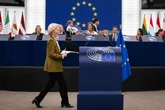 Federazione europea o vassalli nazionali