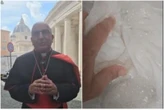 La camicia sciacquata nel lavandino e l’appello alle preghiere: gli ultimi post dei cardinali prima di entrare in Conclave