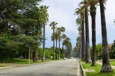Los Angeles crea l’ombra: per le Olimpiadi del 2028 tanti alberi in arrivo